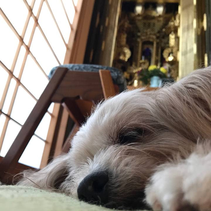 77fd9be4 0e6a 47d4 9e72 b851296e03fa 1534210670428