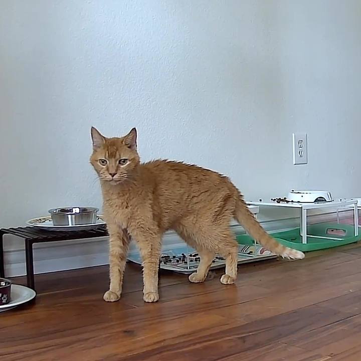 77fdc772 2042 483a a0ef 417edff82c70 1769543845079