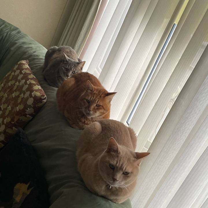 77fdc86c 9805 4b04 af9e e14e7bad5c78 1735949873960