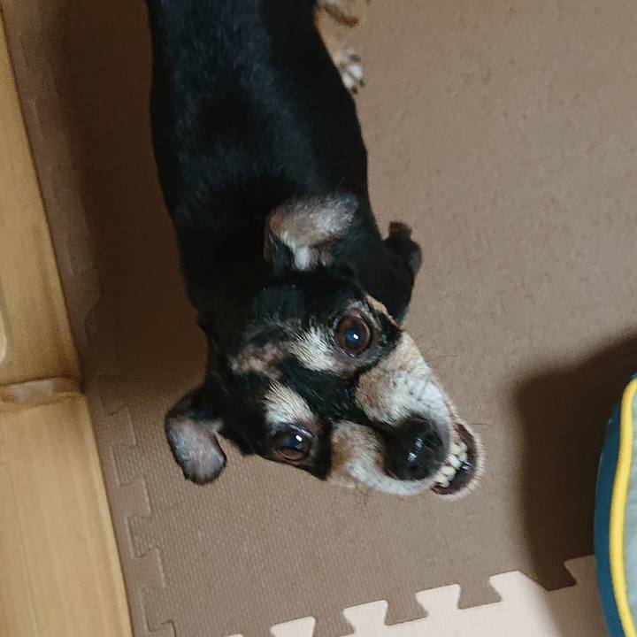 77fdd31d 96db 4e89 aea2 7b0d3dbf96e4 1567685849204