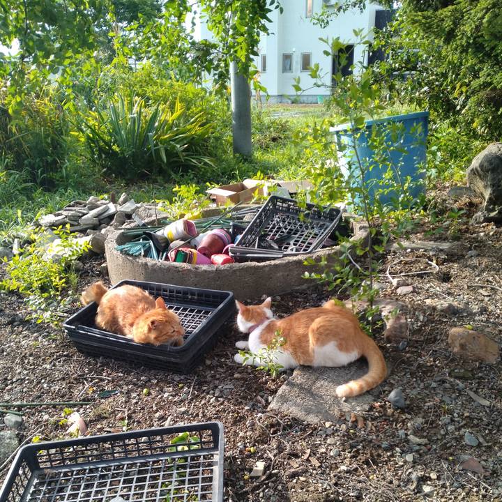 77fdf3e1 b2b1 472a 8d06 1211d7872d50 1754695717175