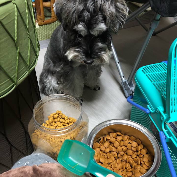 77fe0368 cc5f 449d 8a94 a847d3cac17b 1573126599467