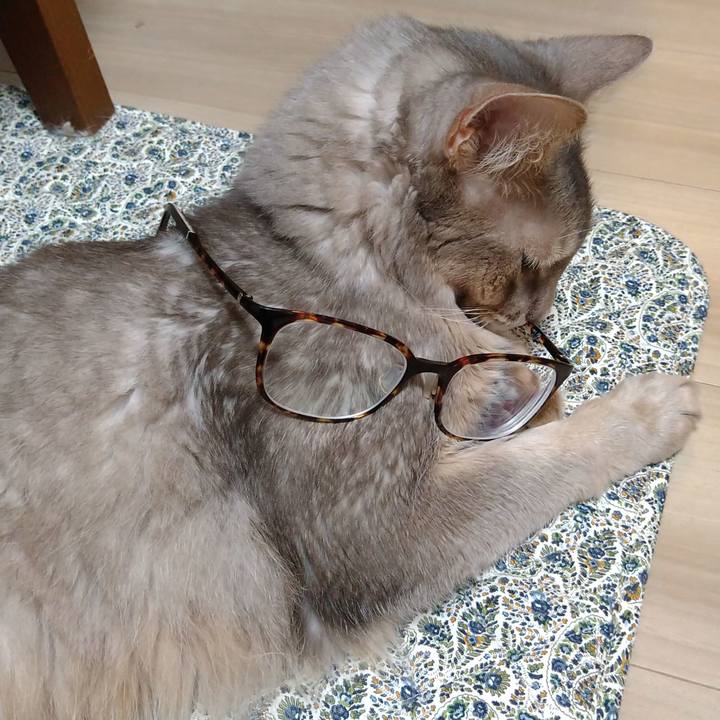 77fe17f7 db9c 40e8 bc88 dd8303d1b44e 1618621362612