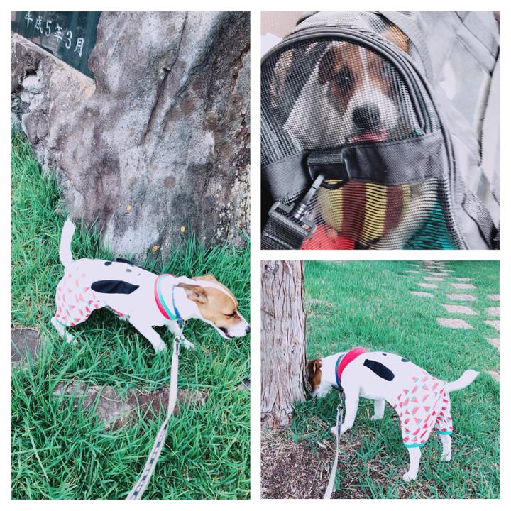 77fe74fc b5af 423c 982b d48d2e5cd144 1528591269975