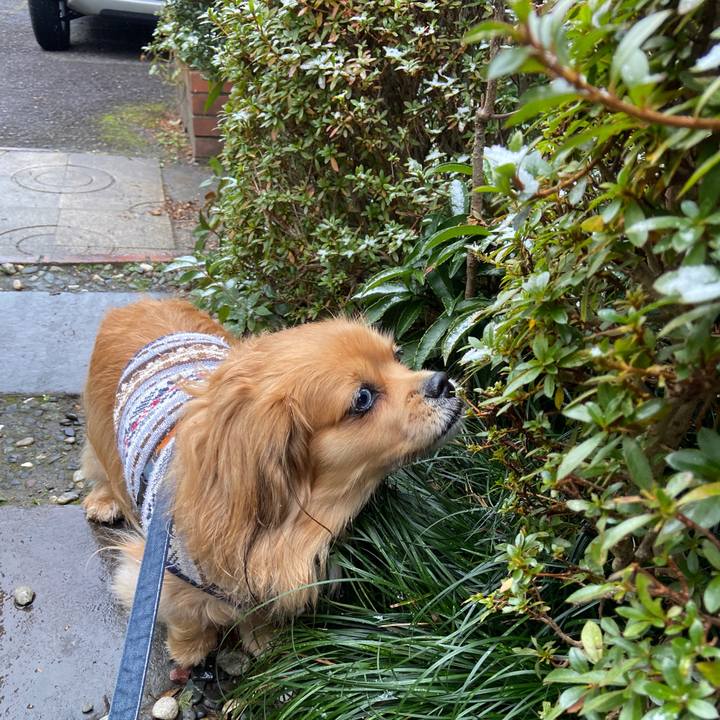 77fe7534 988c 4073 8fdb ba2ee680b9b6 1640566646835