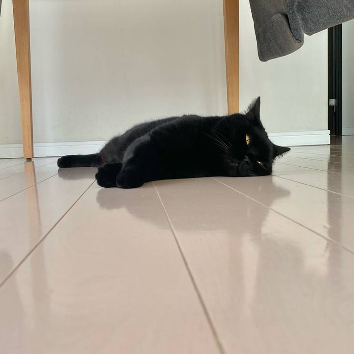 77fe77a5 ab0e 4009 9710 5a08fc45eee4 1754865620435