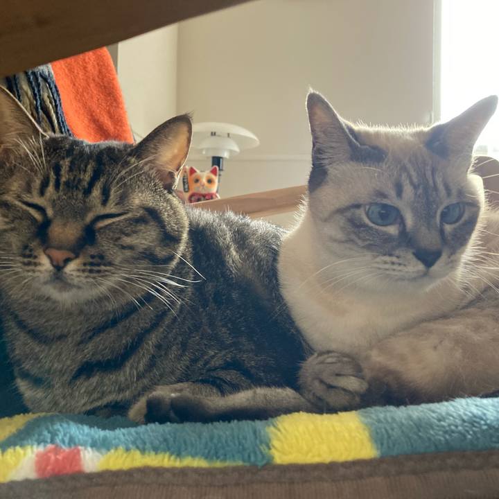 77fe7c88 b1cd 4a85 b1f7 284f43210b27 1637200472913