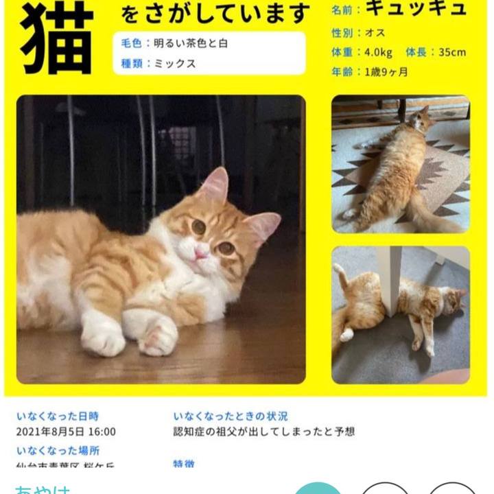 77fe7de0 e8f3 4b70 9511 9a9e505333ac 1629108484380