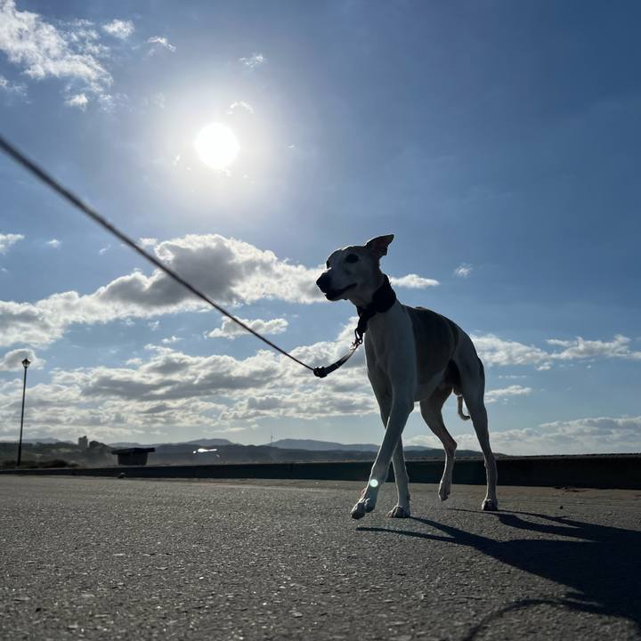 77fe8ec7 2cc9 453d 8eb6 05597614e862 1760430243476