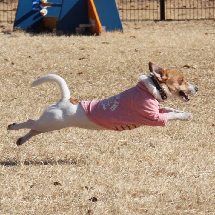 77fec5a7 643f 4ff0 95e4 7d525ca23f00 1518579456068