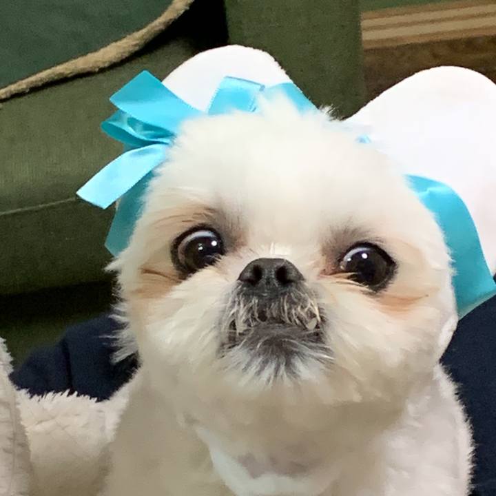 77fed2bc ded1 4f03 a359 9b7718758806 1676382000317