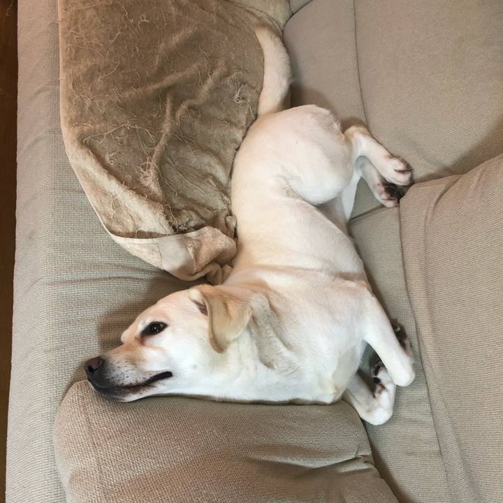 77fef09a 5f47 4275 ab7d eaf7bc5aeff3 1599175846054