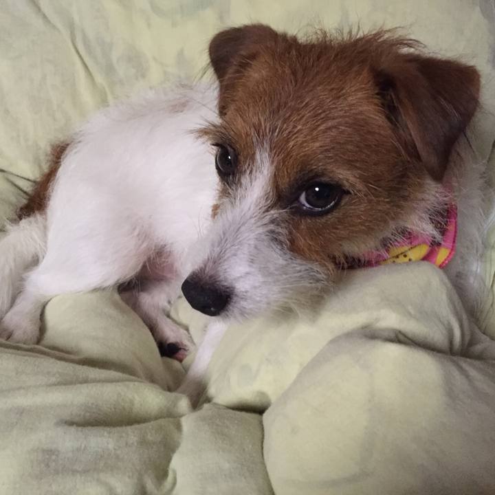 77ff1717 05cf 47c6 8bcf 149bb6a73eff 1625610377345