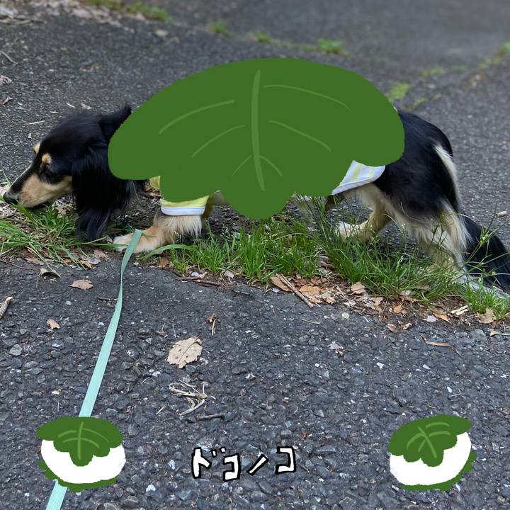 77ff6acd f002 4588 81bd c7a196f632bb 1749089138909