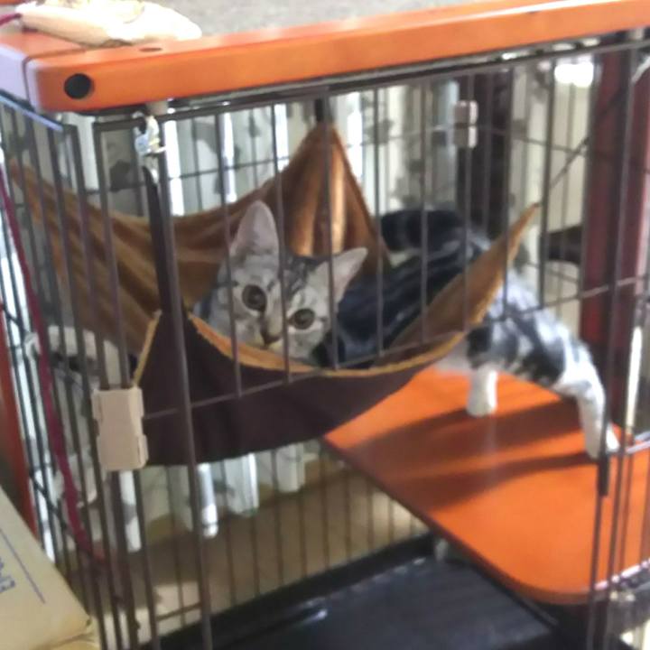 77ff8365 5f40 46e3 bb83 1f6e5a31a191 1538606743557