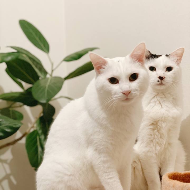 77ffa096 8c30 4820 b85f 23ce78ab9892 1651758576169