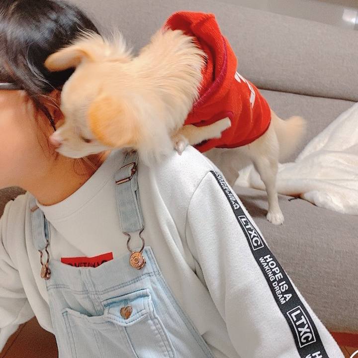 77ffb7d2 c833 44ce 841b 5ddae0087efe 1606209098892