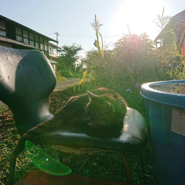 7800009c 30c5 4545 960d 021ab39d591b 1598564242197