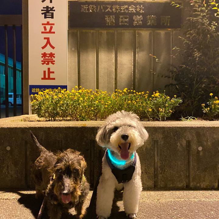 7800591b 6fae 427c 8f41 5b1a657e87e5 1628354772567