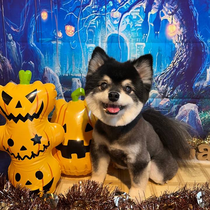 78006ad5 64df 4f65 a374 0cbdd5df811d 1667102998323