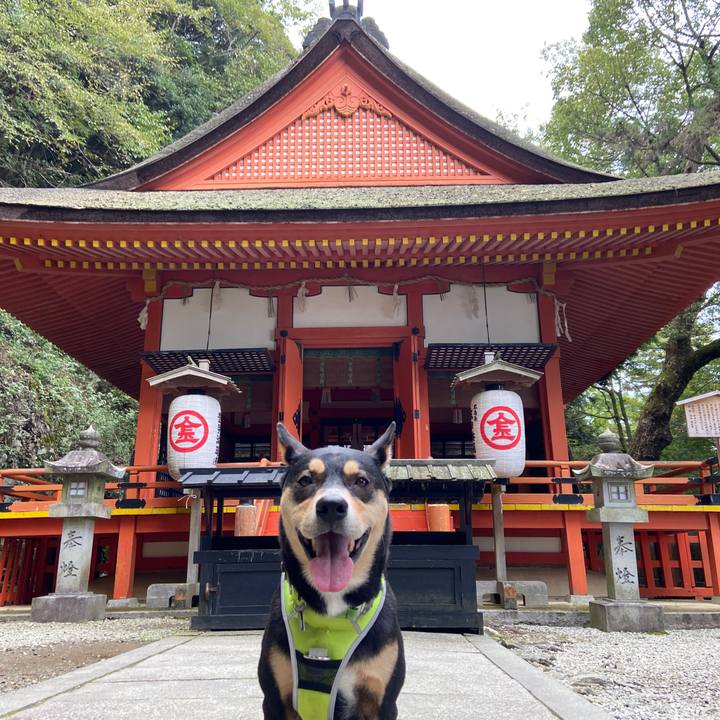 78006e6b e263 45e5 af06 7a26737eb2bc 1635328150267