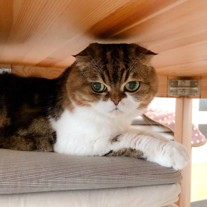 78009816 aa7e 4a9c bb58 83658ccc34f2 1570684602832