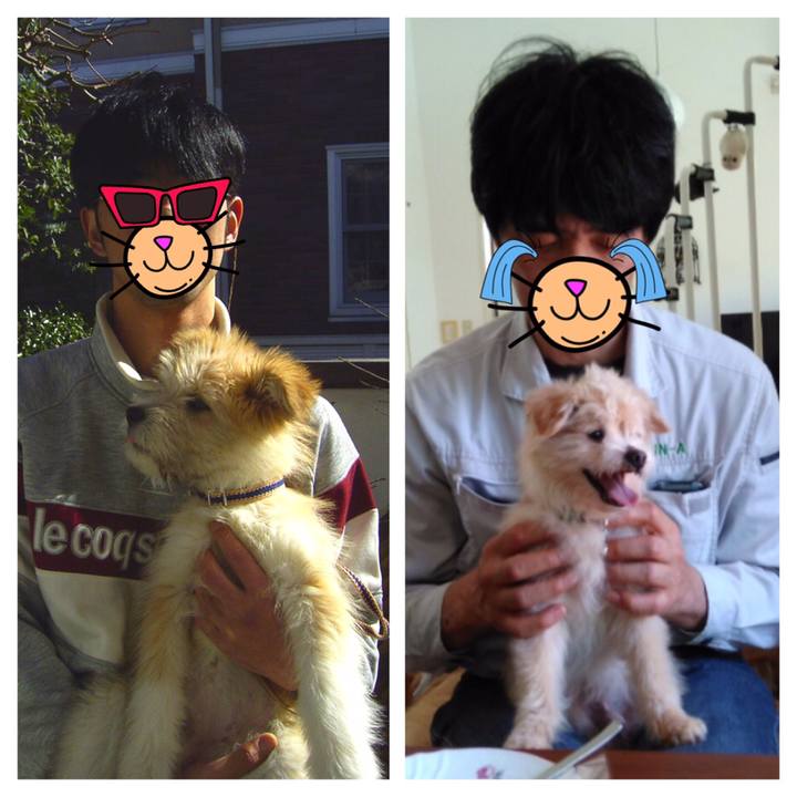 7800a498 bc08 4ee2 8c01 eba9cac60549 1560770884327