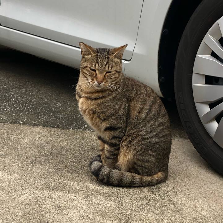 7800be73 170a 4c1e 937d 99e587f2d4c1 1572728524568