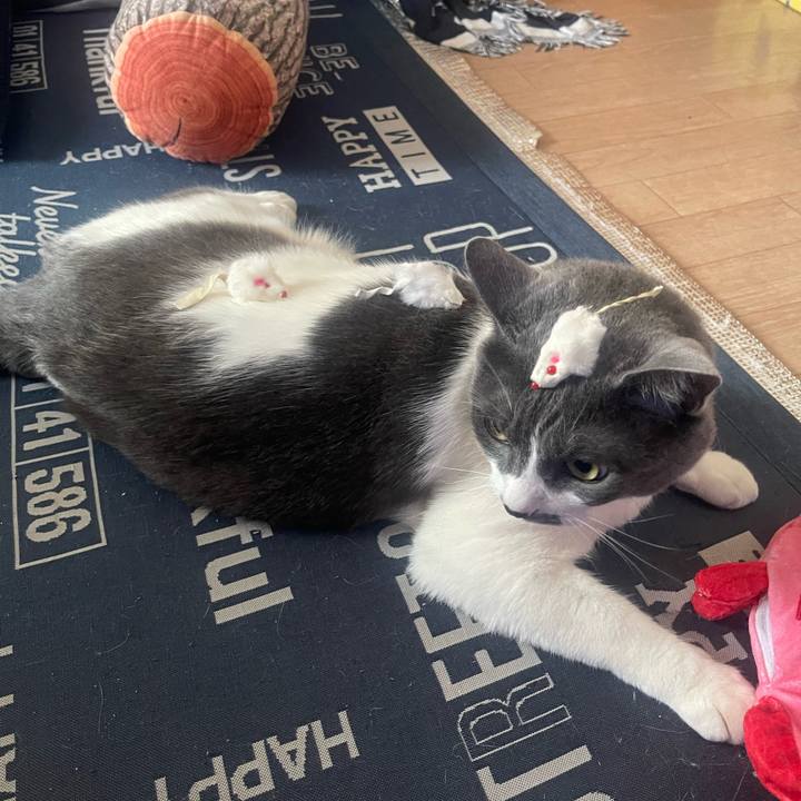 7800c31a 46c2 4c7b 9cce 2cb2b571fc16 1718261252911