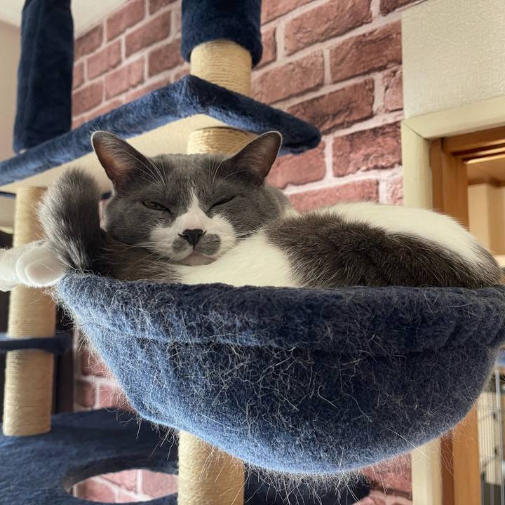 7800cce5 20f5 4a27 a566 e9a2fba91d3e 1663376159172