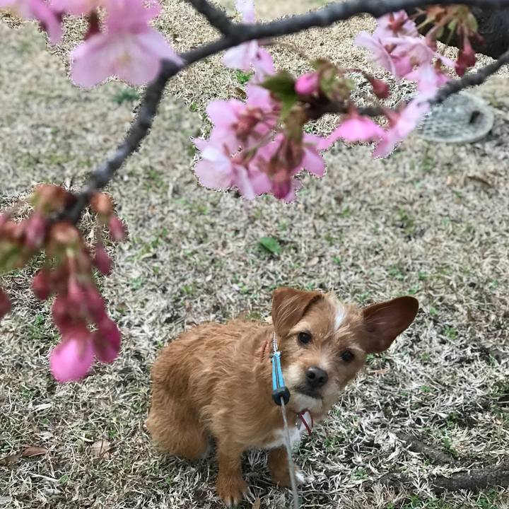 7800d890 99aa 45e5 bcdc ddbfc9352994 1582597865997