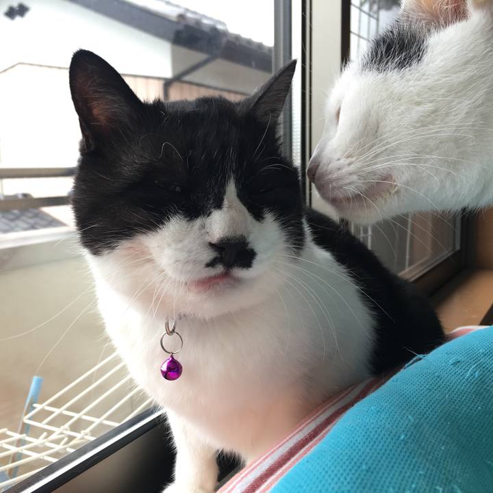 7800f08a 609b 40cf be92 69055910f0cc 1564010432006