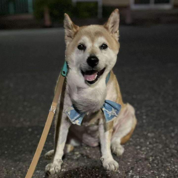 78010240 b547 4346 87ad 2771a0045165 1755514537950