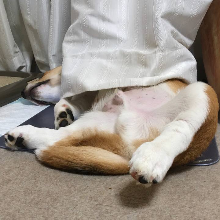 78011f92 f909 449e 9926 4949c79e50ca 1594125156346