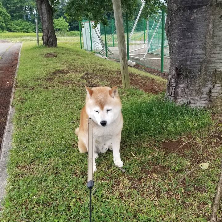 78012f85 bca2 49c4 8ccb 11f135c7cd37 1717139671685