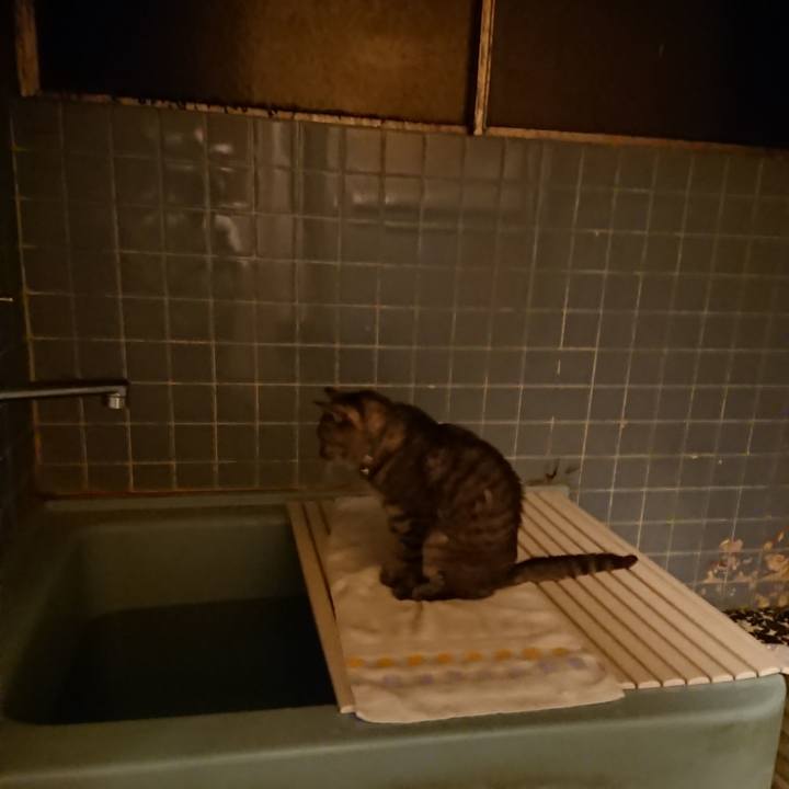 780156d4 b7b1 41a9 b01b 713965bcfef5 1572864986336