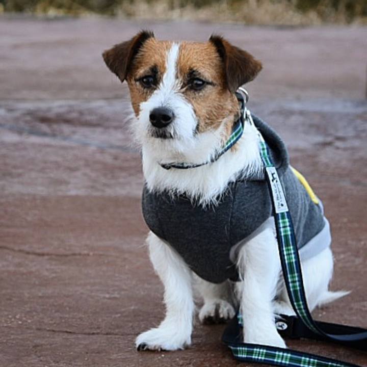 78016257 7861 4089 b7e2 fc5e14d5f134 1514203602949