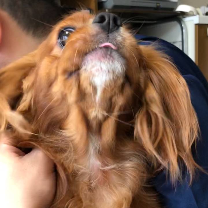 78016b4e a099 49a8 a497 9406de829110 1560810591768