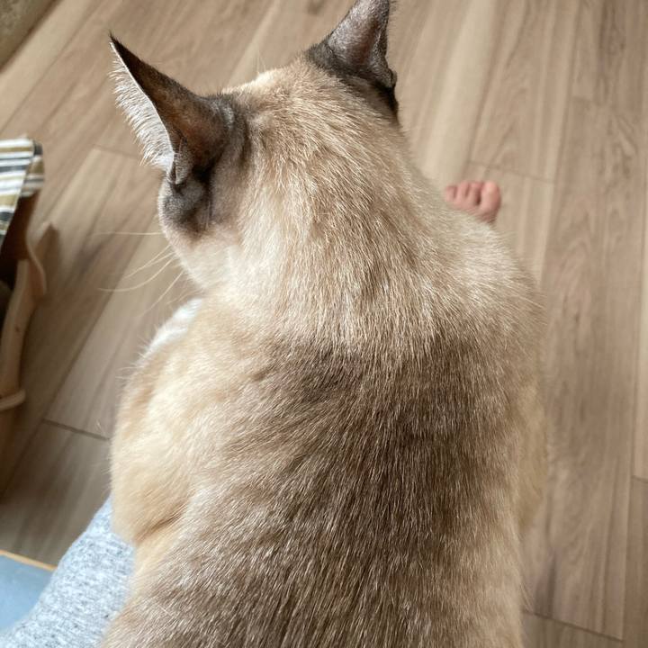 780197dc 1729 42d6 a45a 53746e6a7cb3 1680919478761