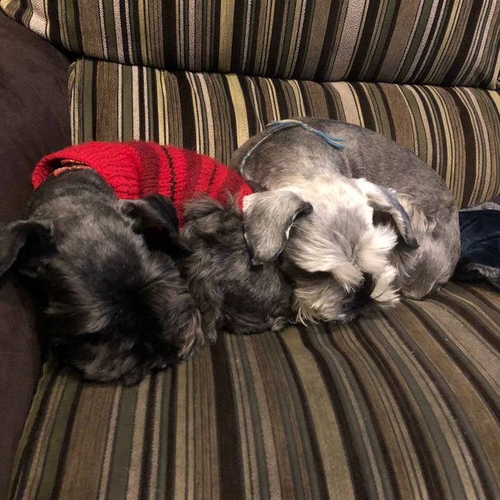 7801a9c2 4927 492a 8322 50120221078c 1548761234414