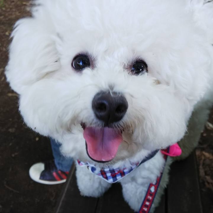 7801b29c 7bdf 4639 8b72 cd1bae1a17eb 1525523304750