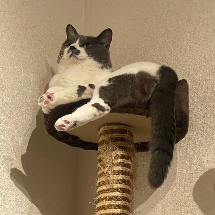 7801bc0f 10ba 479b bd87 f2d8913e115c 1733155047433