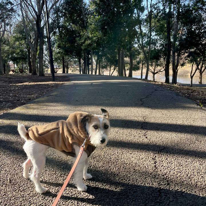 7801d0e8 8f67 4bd4 969e 5feabc233eb5 1676356271147