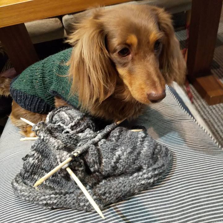 7801f631 2476 4a43 bde2 cf35c21c7044 1550240452072