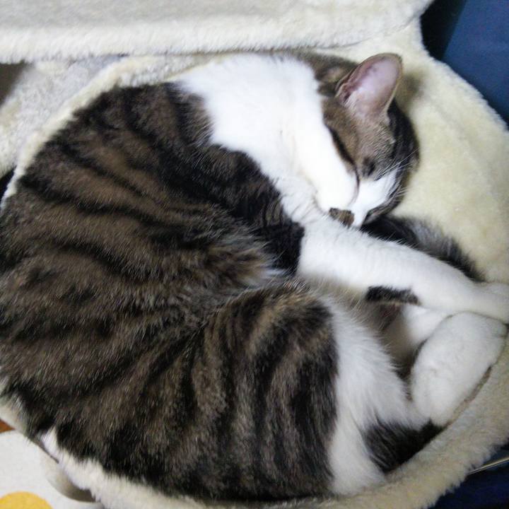 78026c09 64ee 4188 88c3 3fc90e8b516e 1642939931243