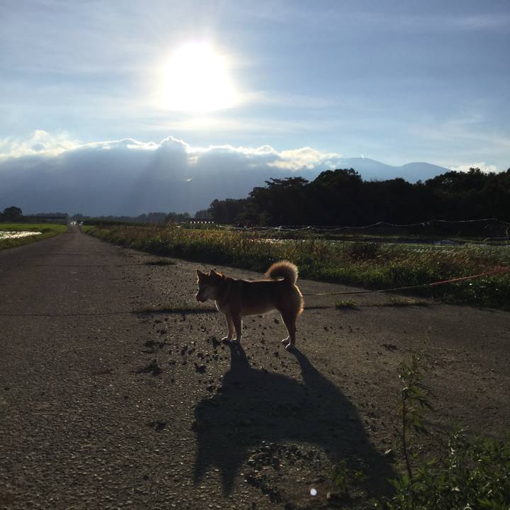 78026d09 aef0 446e 8647 e173afce1fad 1567857659942