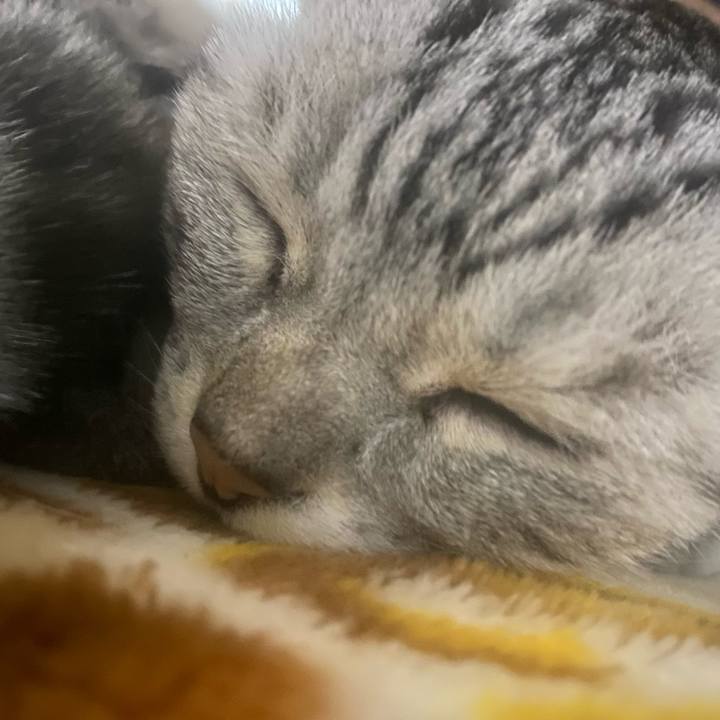 7802718f 5405 4e40 896c a42bc9d2593c 1761667470487