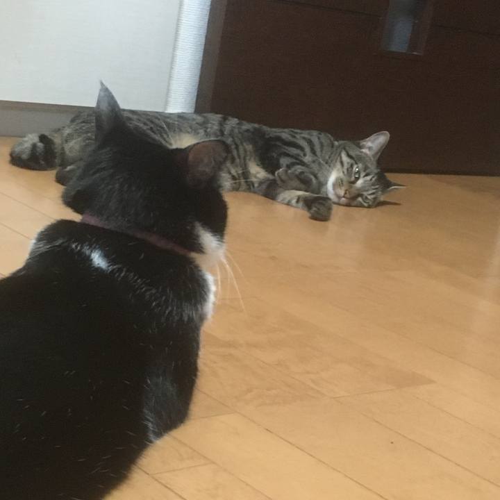 7802ad2c 876f 4247 bf11 7e8d9e1baea1 1596789582683