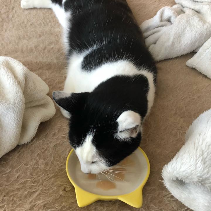 7802b21e 10c2 4b45 8d2e 4d37eb250941 1546564153446