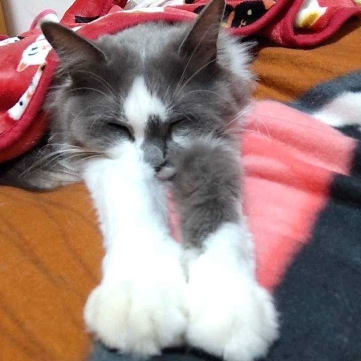 7802cbe3 7f05 419a b8a0 fa5d02837ec1 1636194721558